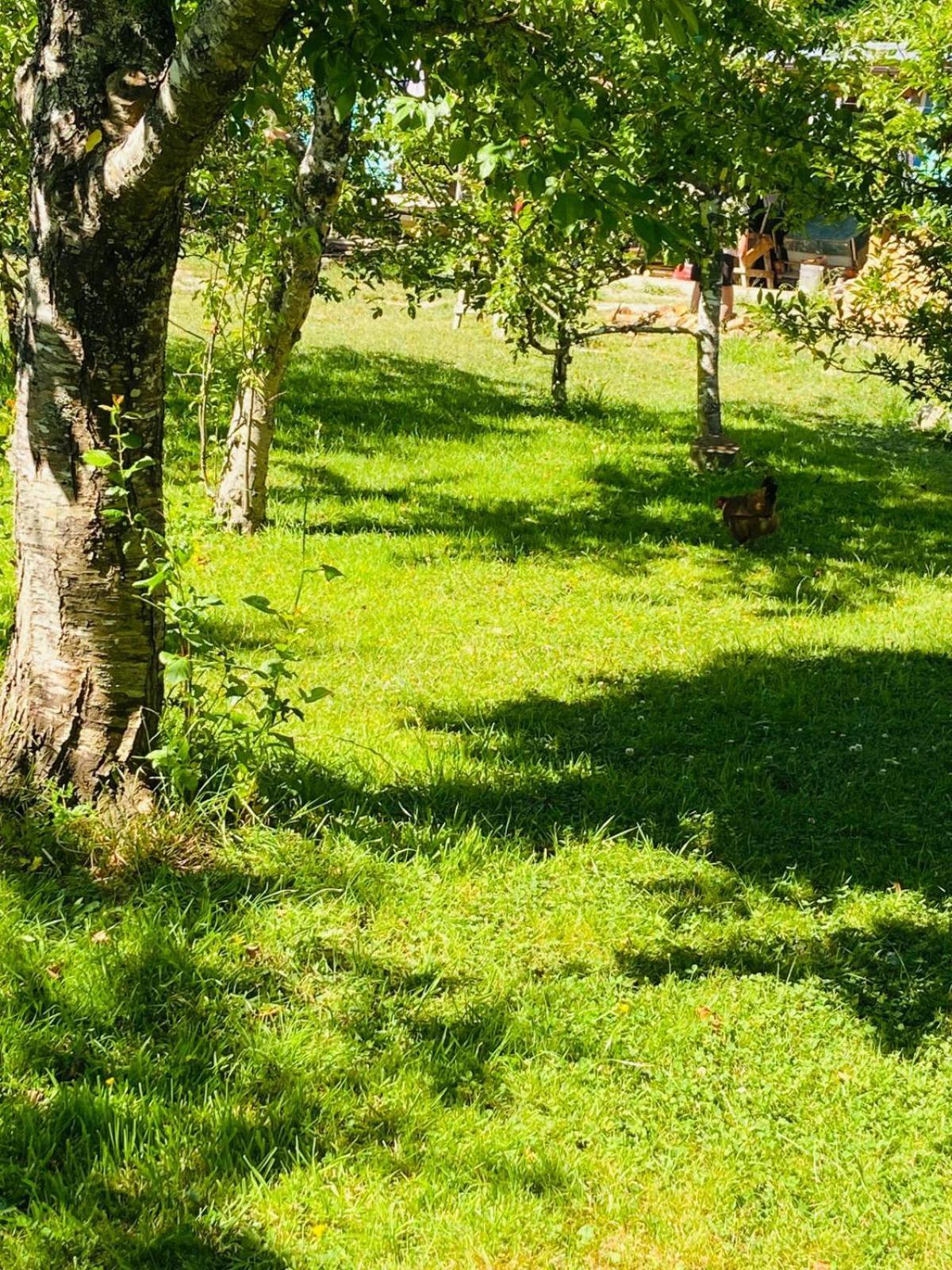 Arrayanes Full Equipada Con Tinaja Apartamento Valdivia